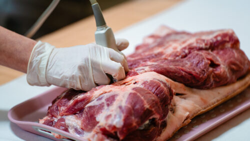 Praktické workshopy na Po medině kempu