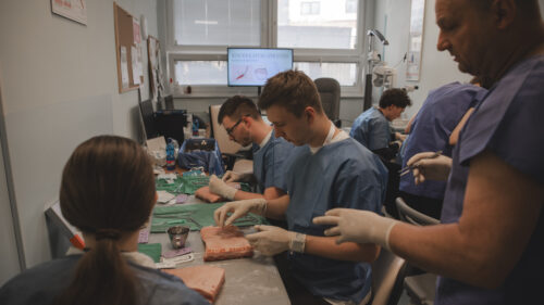 Medici si zkoušejí chirurgické šití na prasečích kůžích