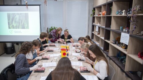 Šití šlach: Pevnost v každém stehu